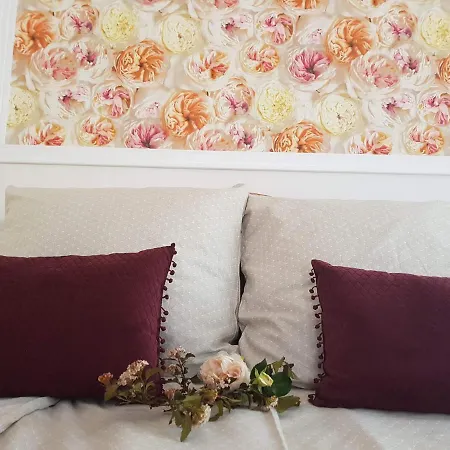 Peonia Guest house *